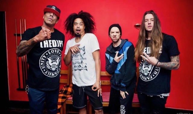 Hed Pe at Waiting Room Lounge