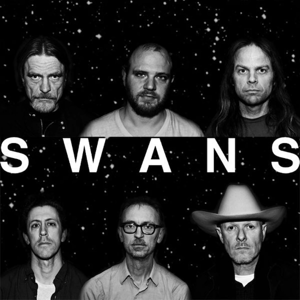 Swans at Waiting Room Lounge
